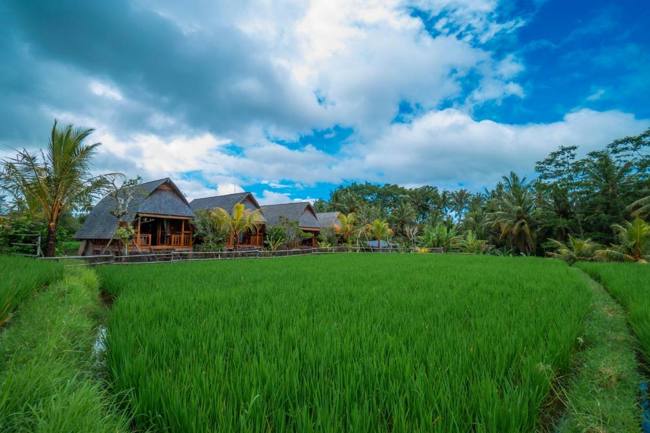 Pb Pondok Gandalangu Garden House Bali Ubud Esterno foto