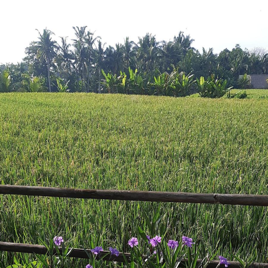 Pb Pondok Gandalangu Garden House Bali Ubud Esterno foto